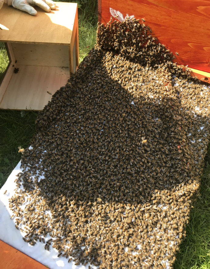 Bildschirmfoto 2019-05-19 um 18.44.06.png